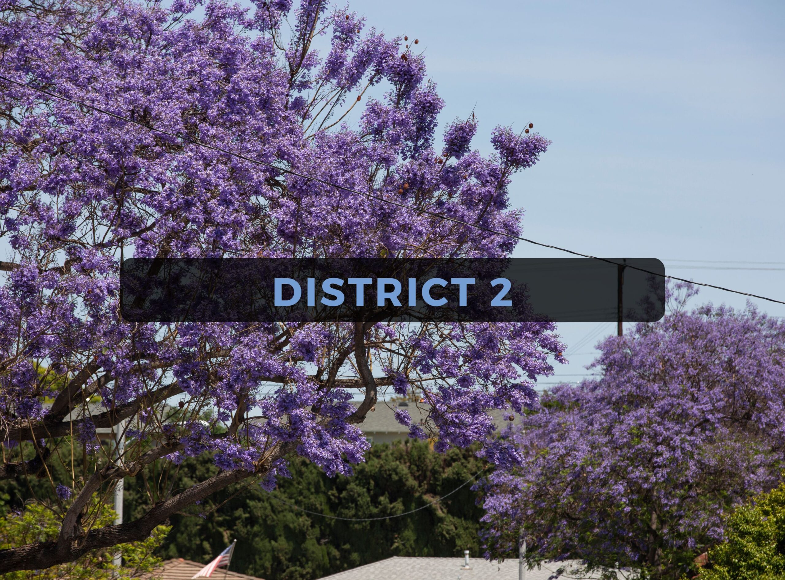 District 2